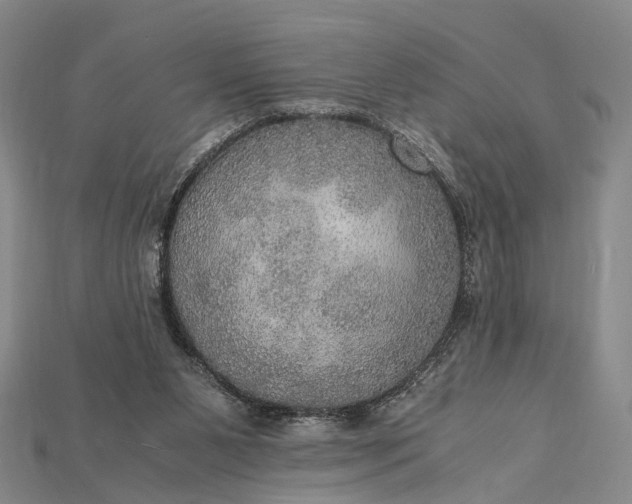 X0000115190111200911121829