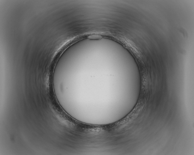 X0000115190112200911121829