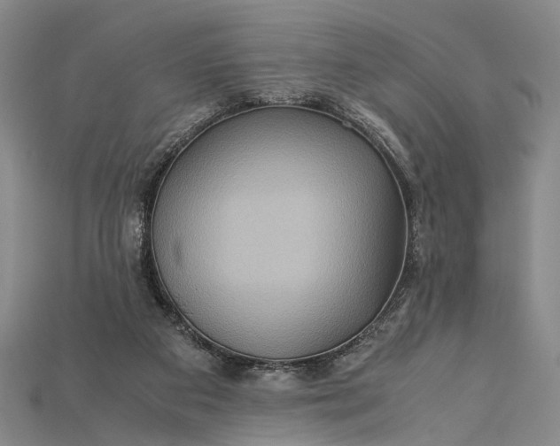X0000115190113200911121829