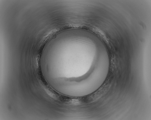 X0000115190114200911121829