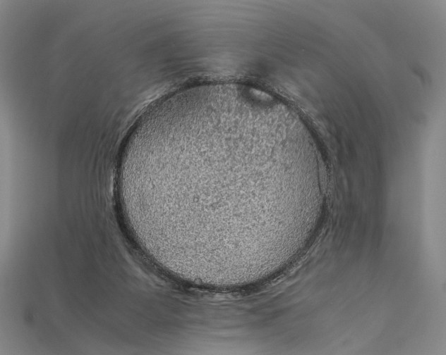 X0000115190115200911121829
