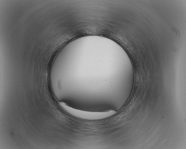 X0000115190117200911121829