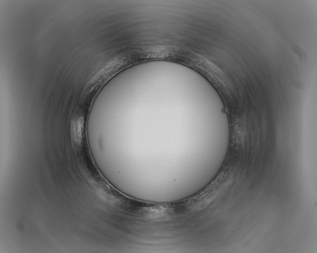 X0000115190118200911121829