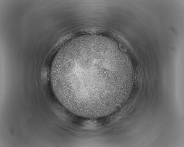X0000115190119200911121829