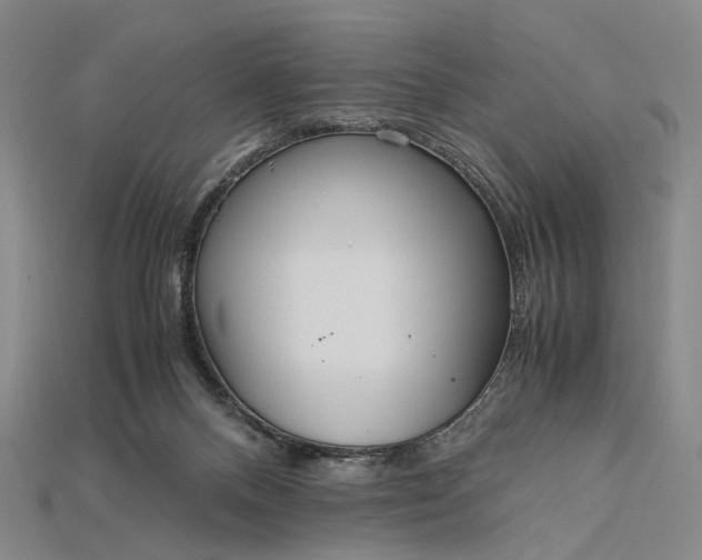 X0000115190120200911121829