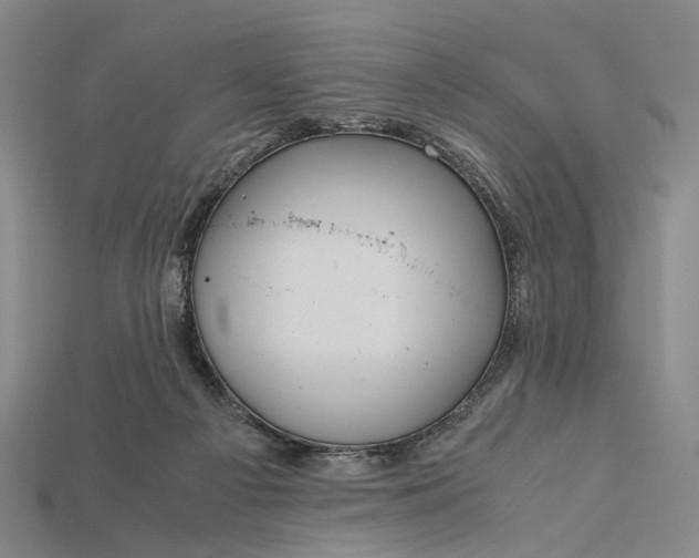 X0000115190121200911121829
