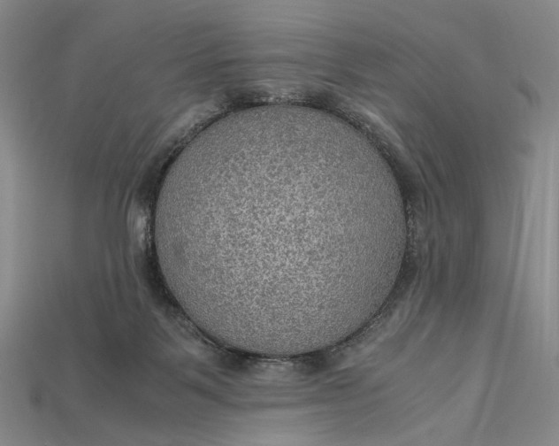 X0000115190123200911121829