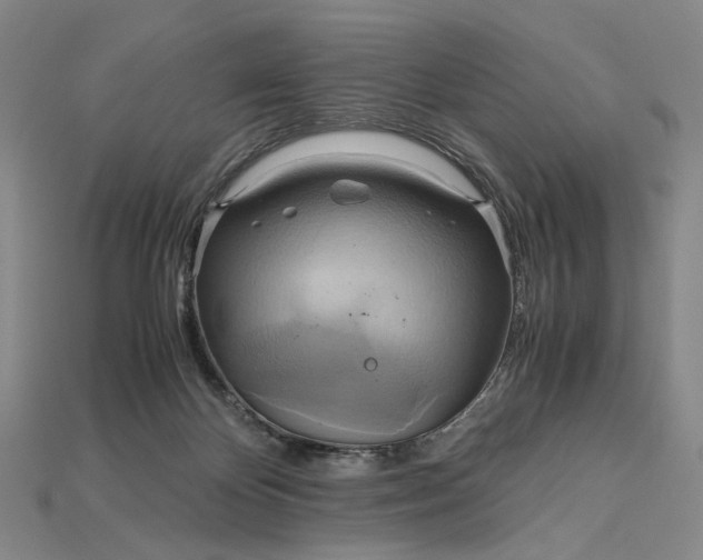 X0000115190124200911121829