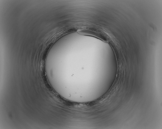 X0000115190125200911121829
