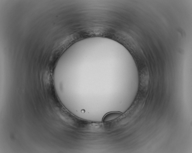 X0000115190126200911121829
