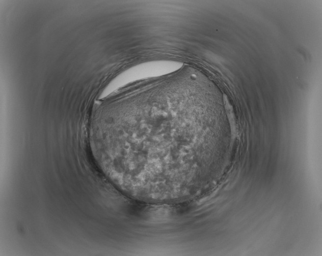 X0000115190127200911121829