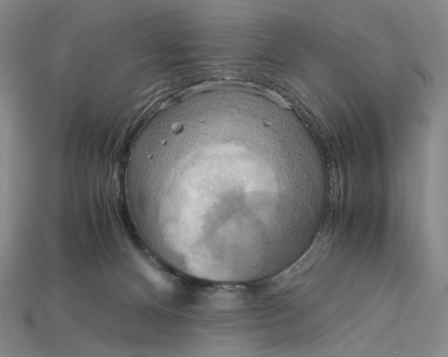 X0000115190128200911121829