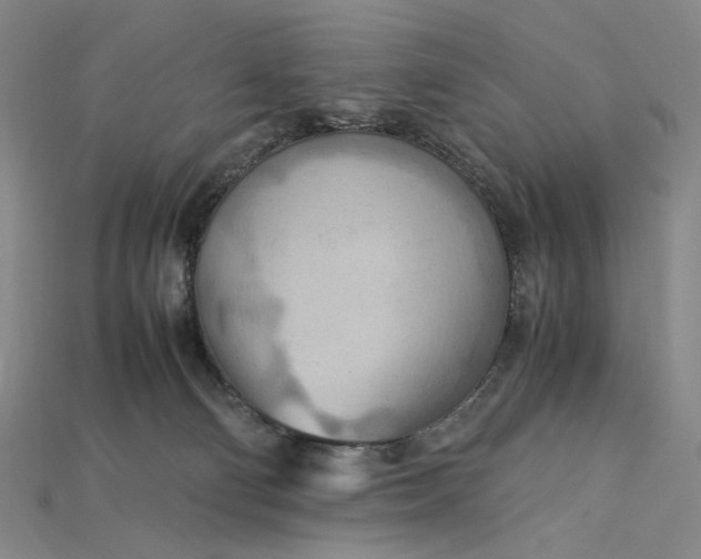 X0000115190130200911121829