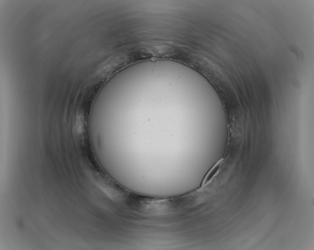 X0000115190132200911121829