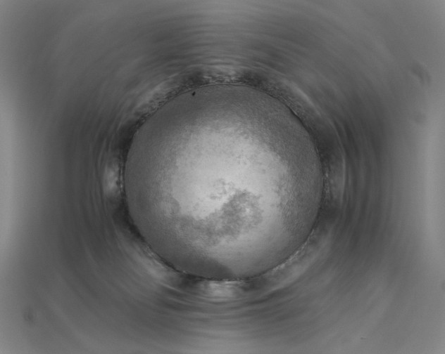X0000115190134200911121829