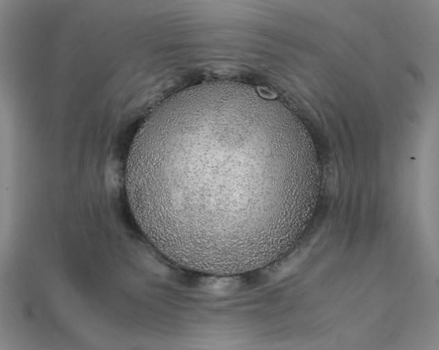 X0000115190135200911121829