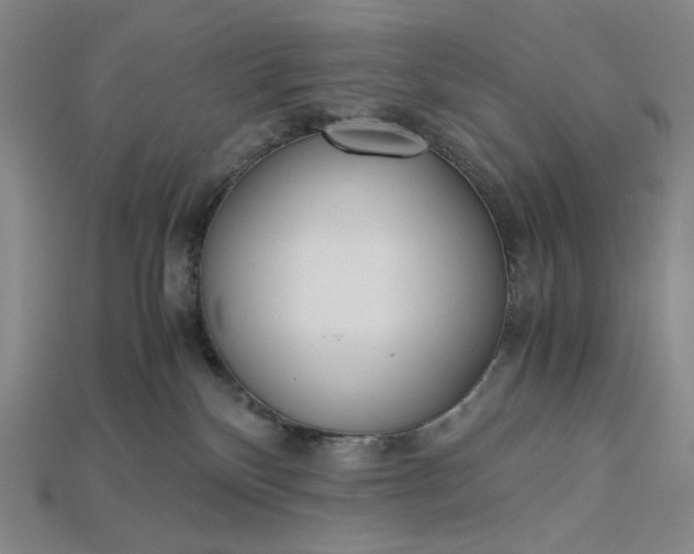 X0000115190136200911121829