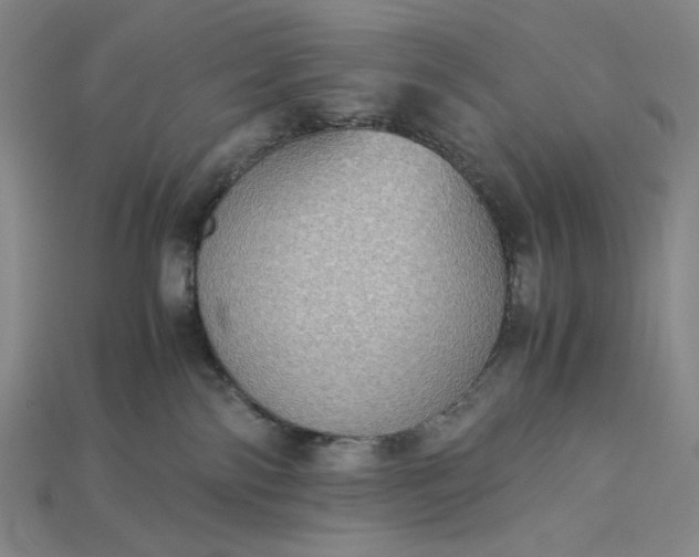 X0000115190138200911121829