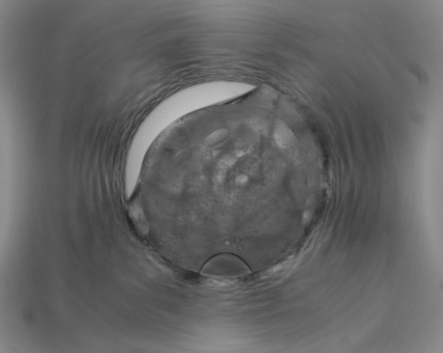 X0000115190139200911121829