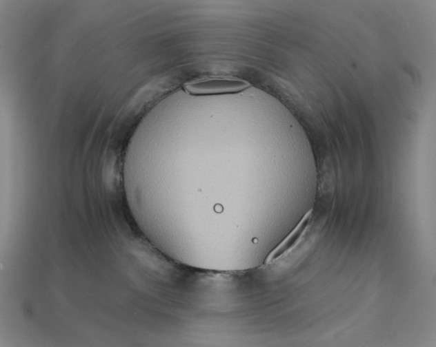 X0000115190140200911121829