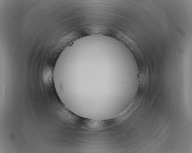 X0000115190142200911121829