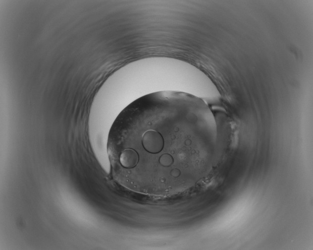 X0000115190143200911121829
