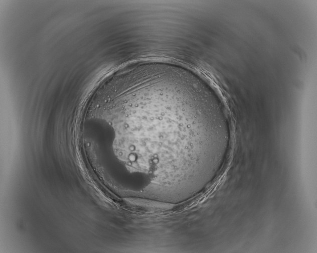 X0000115190145200911121828