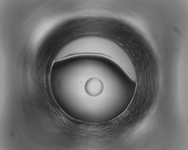 X0000115190146200911121828