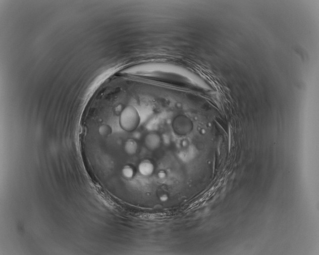 X0000115190147200911121828