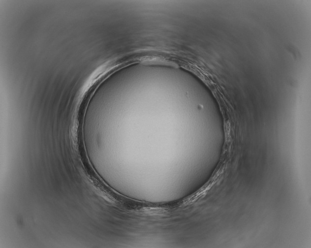 X0000115190150200911121829
