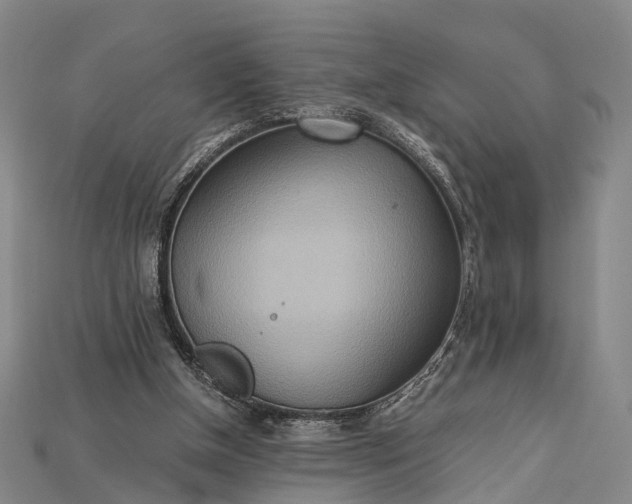 X0000115190154200911121829