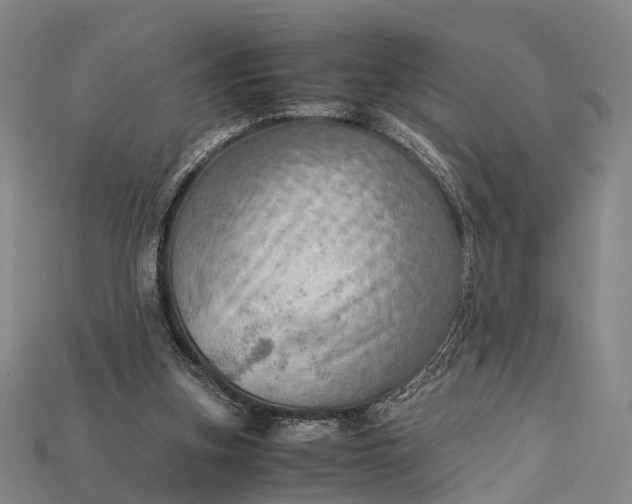 X0000115190155200911121829