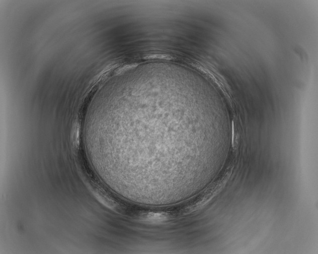 X0000115190157200911121829