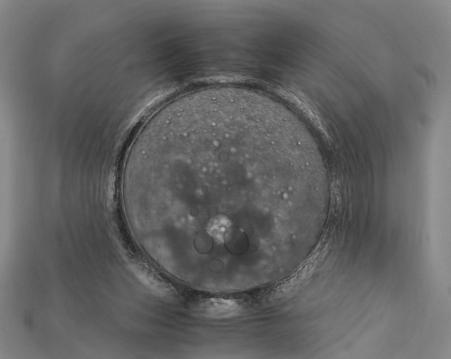 X0000115190159200911121829