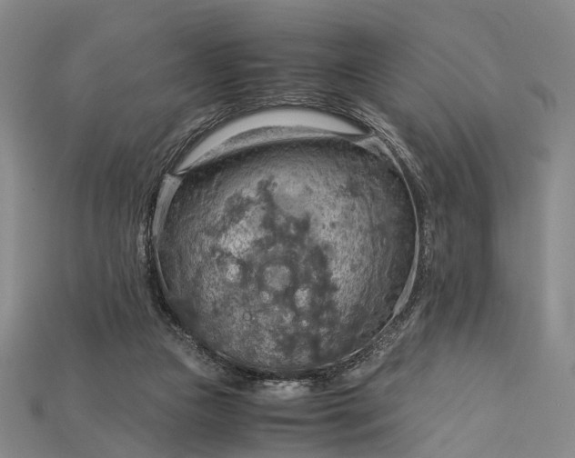X0000115190161200911121829