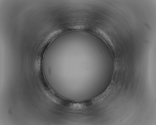 X0000115190163200911121829