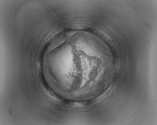 X0000115190166200911121829