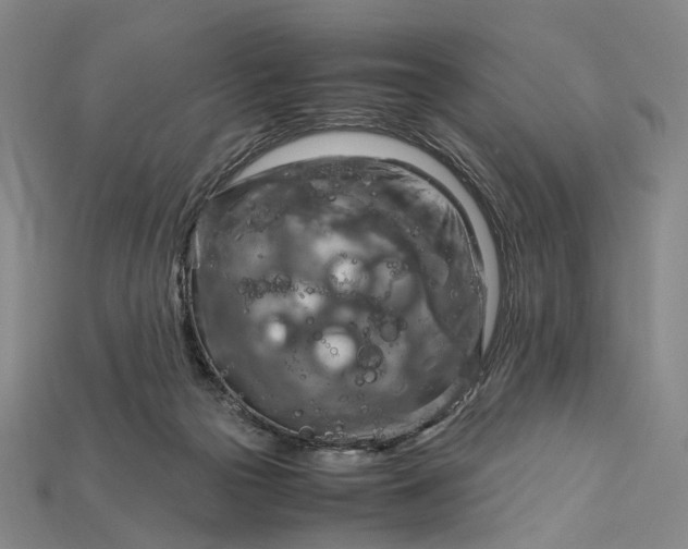 X0000115190169200911121829