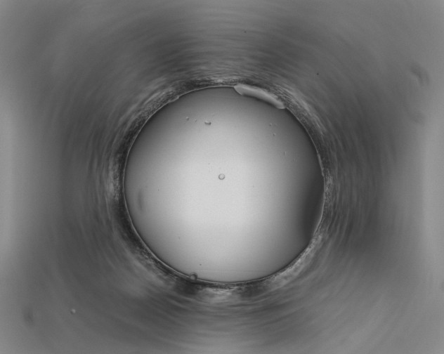 X0000115190170200911121829