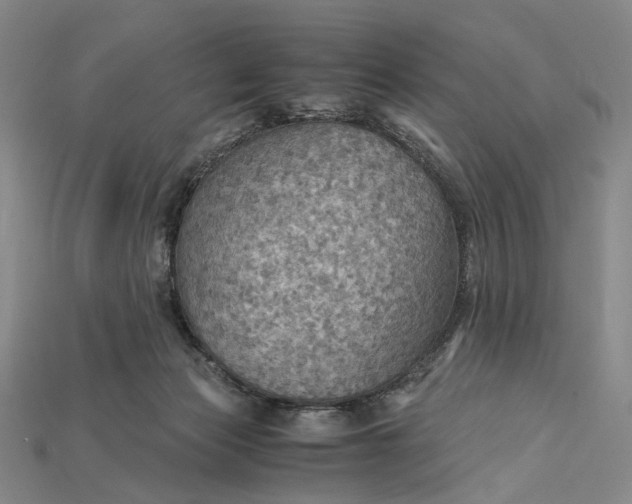 X0000115190173200911121829