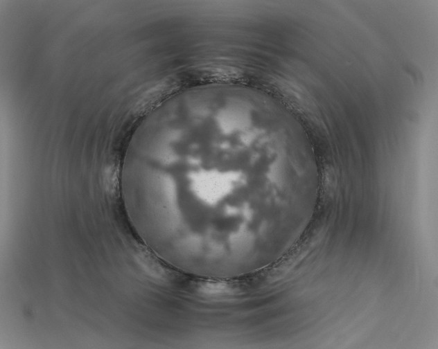 X0000115190177200911121829