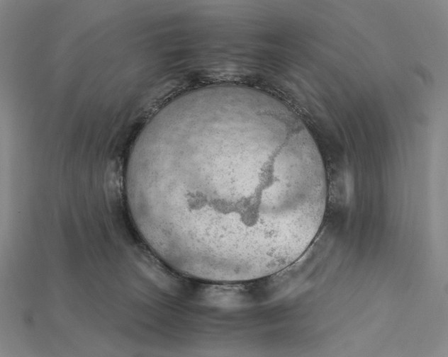 X0000115190179200911121829