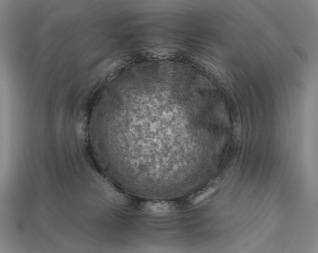 X0000115190181200911121829
