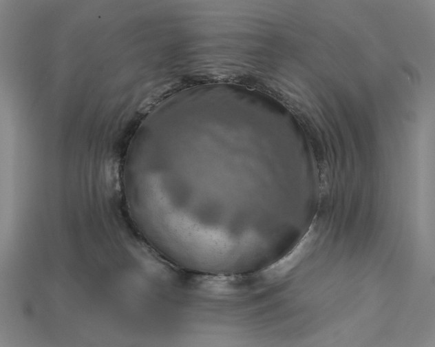 X0000115190182200911121829
