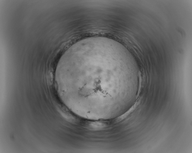 X0000115190183200911121829