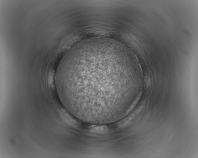 X0000115190185200911121829