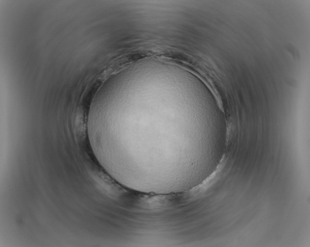 X0000115190186200911121829