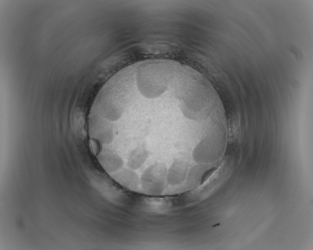 X0000115190187200911121829
