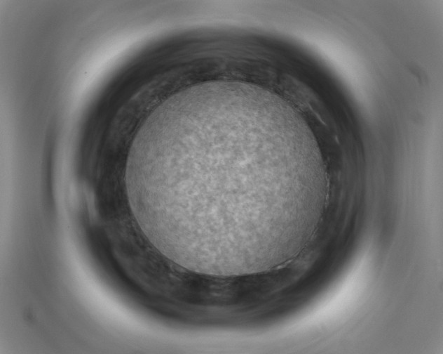 X0000115190191200911121829