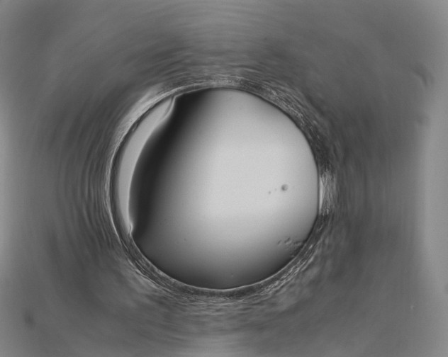 X0000115190195200911121828